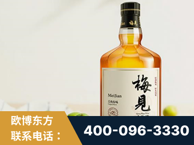 阳江-梅见青梅酒